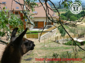 Gîte Saint-André-d'Apchon, 1 pièce, 2 personnes - FR-1-496-23